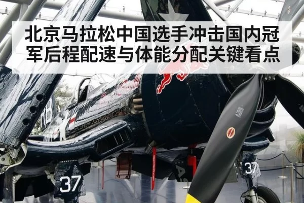 北京马拉松中国选手冲击国内冠军后程配速与体能分配关键看点